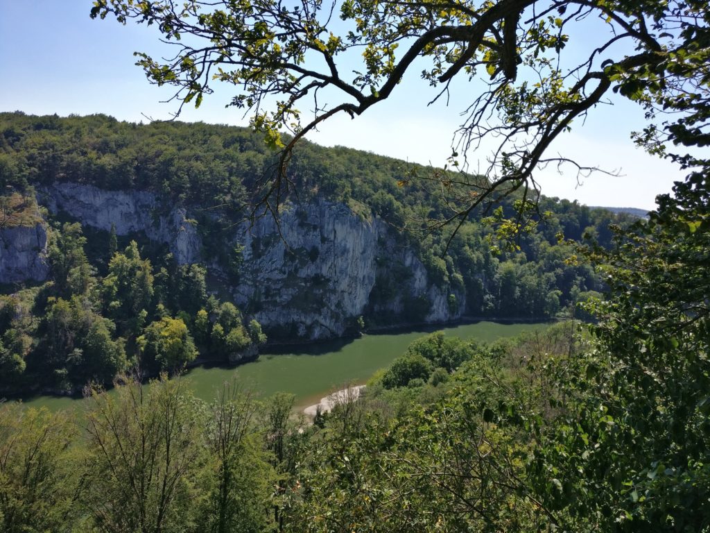 Blick vom Wald aus auf die Donau samt Kalksteinfelsen.