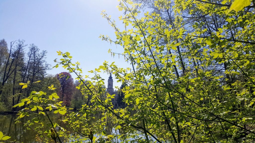 Blick zwischen grünen Ästen auf den Turm des Schloss Dammsmühle.