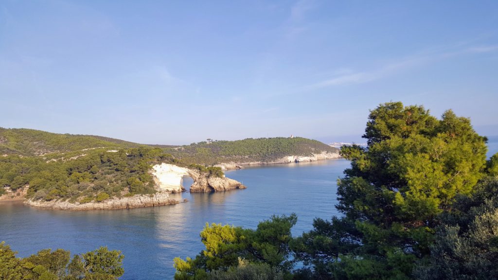 Küstenblick in Apulien mit Meer und mit Bäumen bewachsenen Klippen.