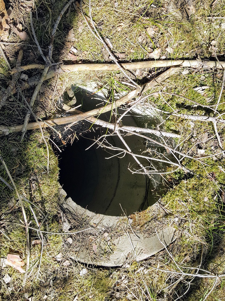 Loch im Waldboden, vielleicht Belüftungsrohr eines Bunkers, das mehrere Meter tief in den Untergrund reicht.