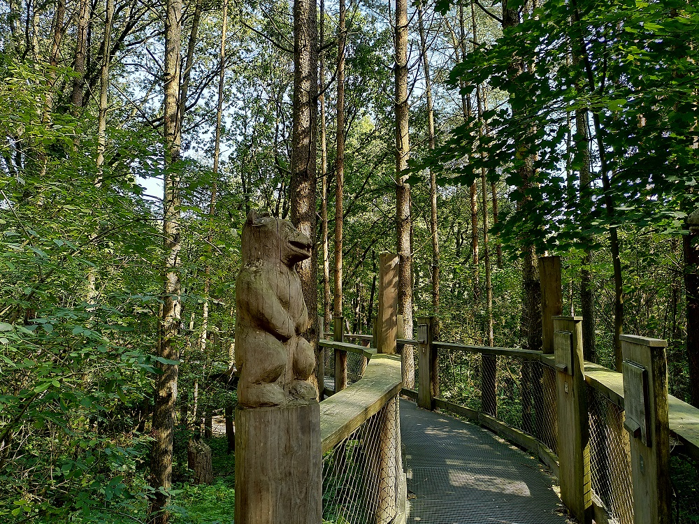 Brücke im Bärenwald Müritz mit Bärenfigur.