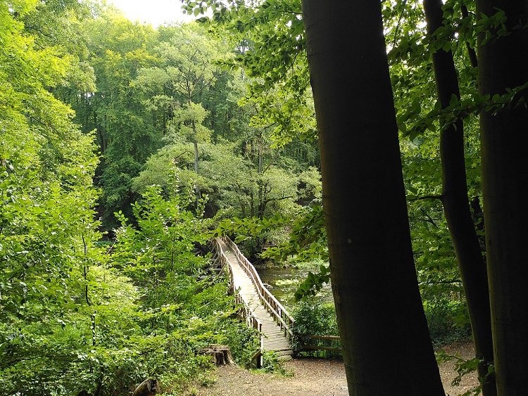 Blick auf eine Holzbrücke an der Warnow von oben.