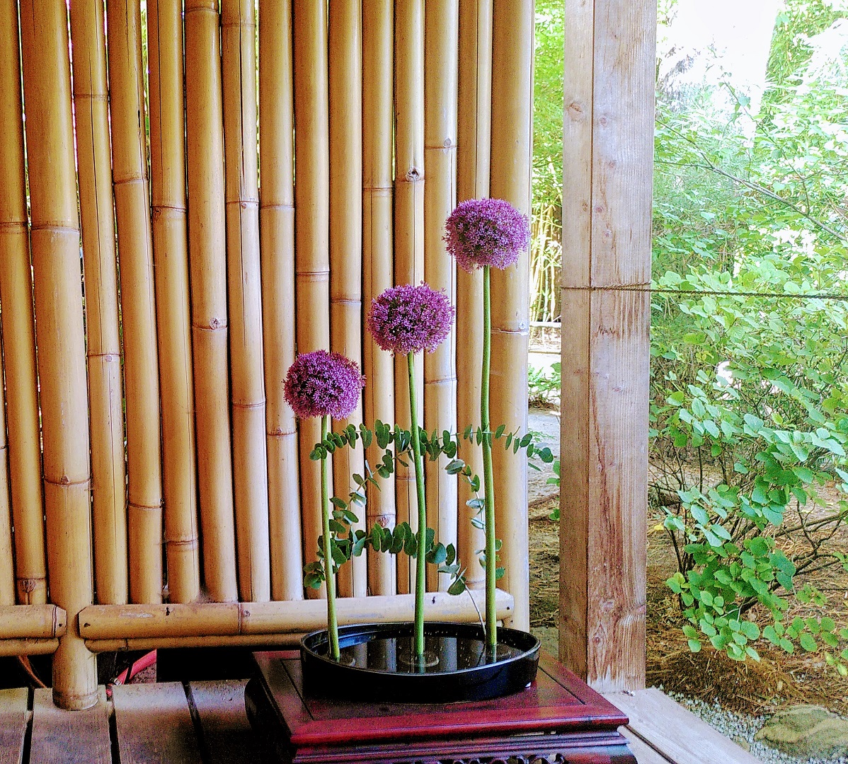 Blumengesteck mit drei violetten Blüten vor einem Bambuszaun.