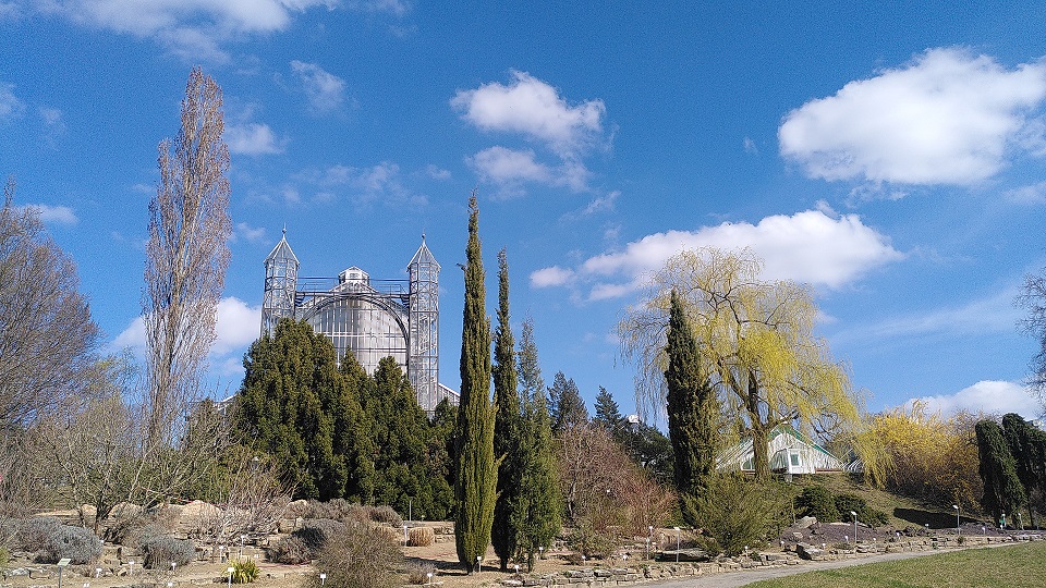 Blick auf das Gelände des Botanischen Gartens mit einzelnen Bäumen, einem Gewächshaus und im Hintergrund blauer Himmel.