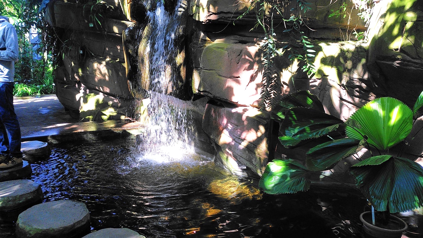 Künstlicher kleiner Wasserfall mit Teich und runden Trittsteinen.