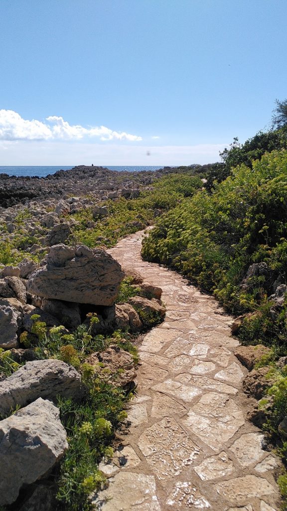 Schmaler gepflasterter Weg umgeben von Steinen und grünen Sträuchern. Im Hintergrund sind die Steinküste und das Meer zu sehen.