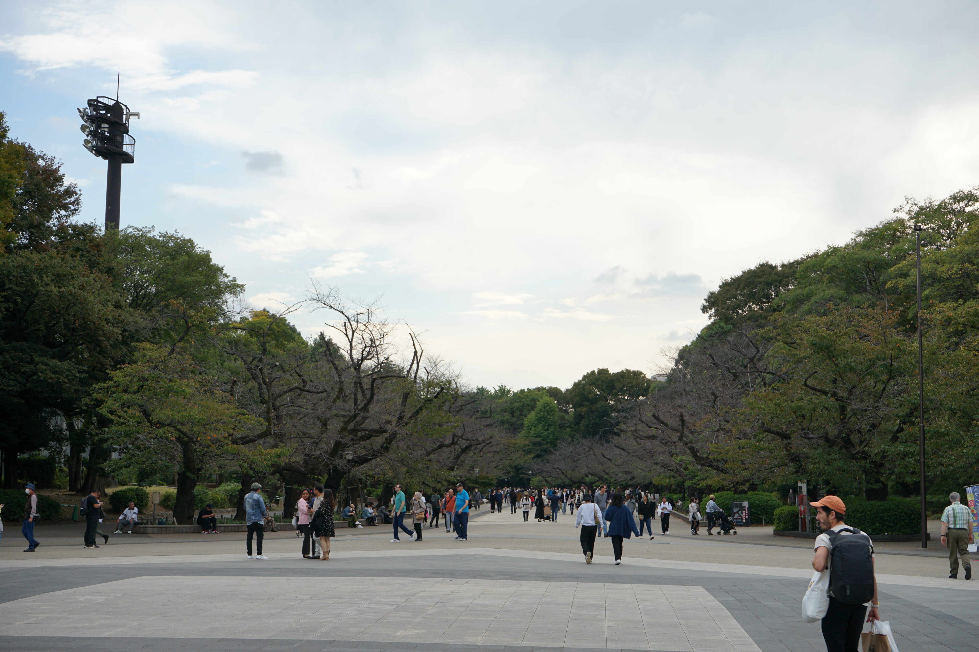 Blick auf eine breite gepflasterte Allee im Ueno-Park.