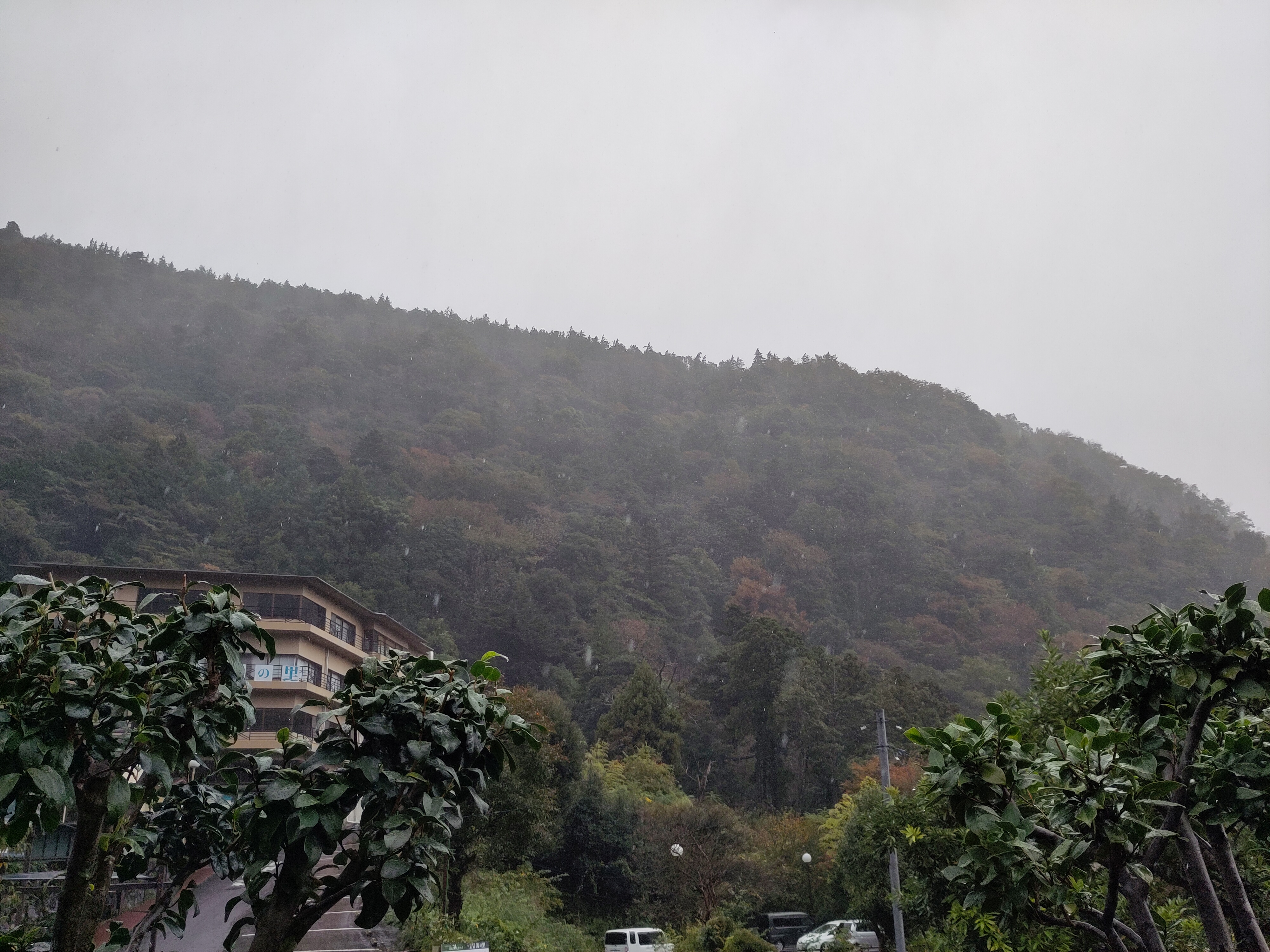 Blick zwischen zwei Büschen auf unser Hotel, das direkt an einem dicht bewachsenen Hügel steht. Im Vordergrund sind Regentropfen zu sehen und der Himmel ist grau.