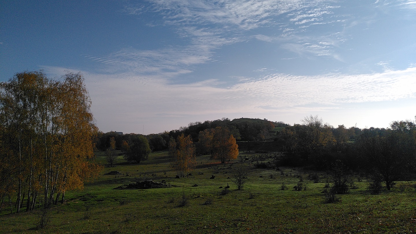 Blick auf den Hahneberg über eine Wiese mit Bäumen.