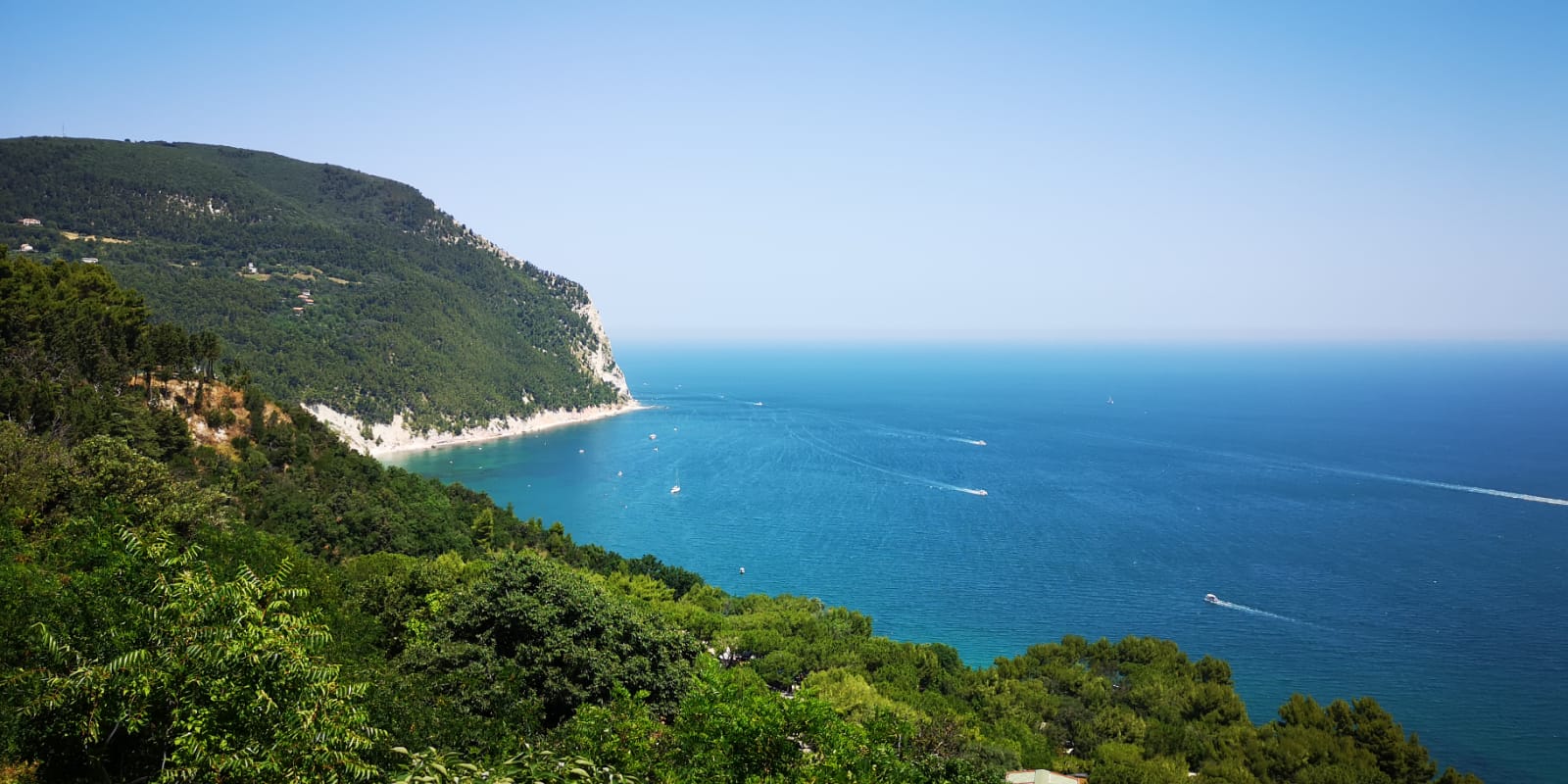 Blick auf eine Bucht umgeben von grünen Hügeln. Das Wasser ist blau und durchzogen von Booten.