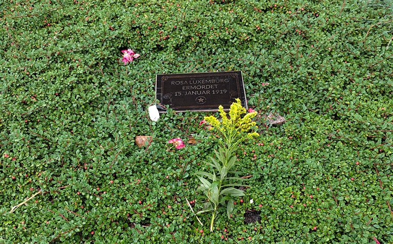 Kleine schwarze Gedenkplatte mit dem Name Rosa Luxemburg umgeben von grünen Bodenpflanzen und einzelnen Blumen.