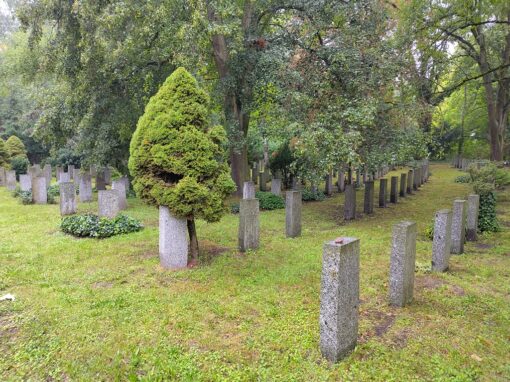 Grabstelen und ein Baum, der sich an eine Stele lehnt.