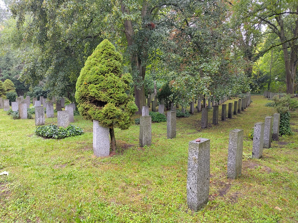 Grabstelen und ein Baum, der sich an eine Stele lehnt.