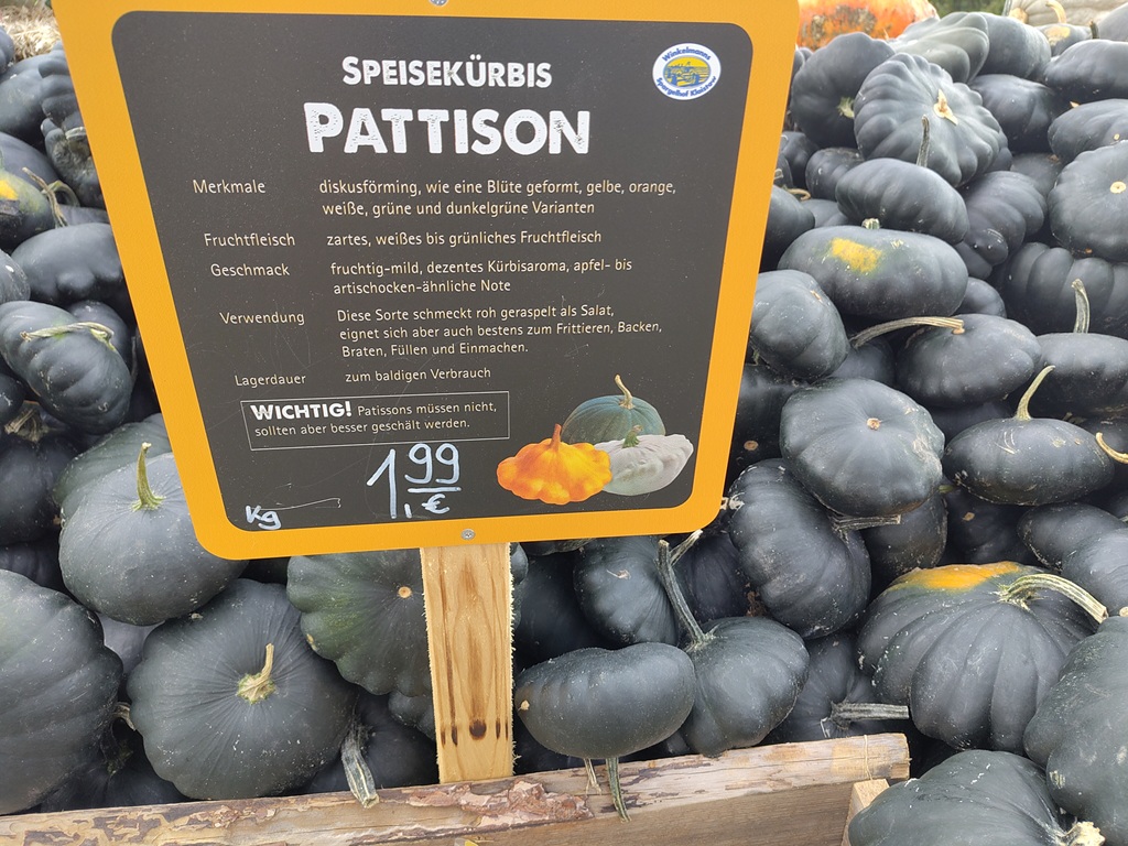 Informationsschild zum Kürbis Pattison. Im Hintergrund Pattison-Kürbisse.