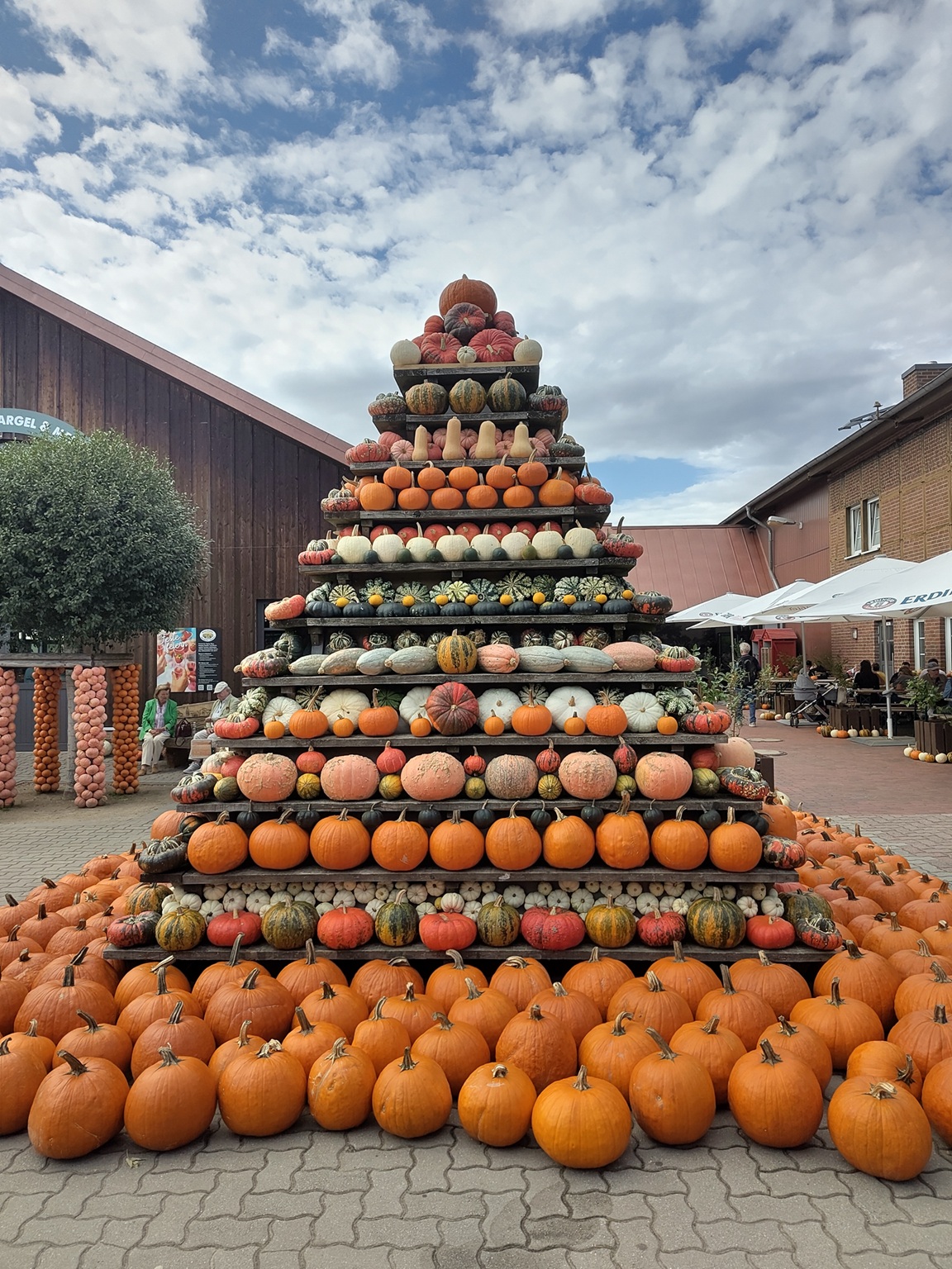 Pyramide aus unterschiedlichen Kürbissorten.