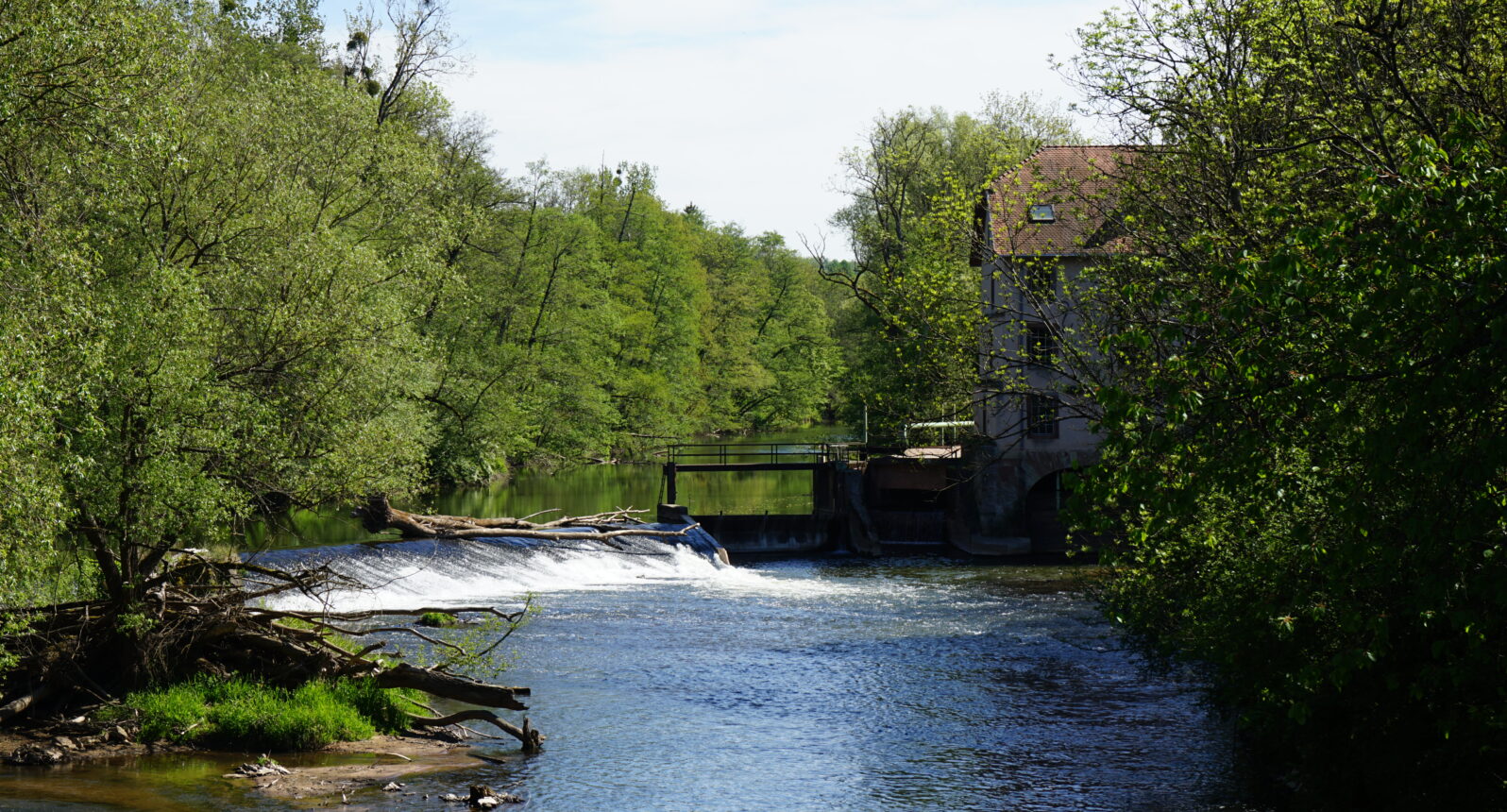 Ausblick auf die Blies mit Bliesmühle im Hintergrund.