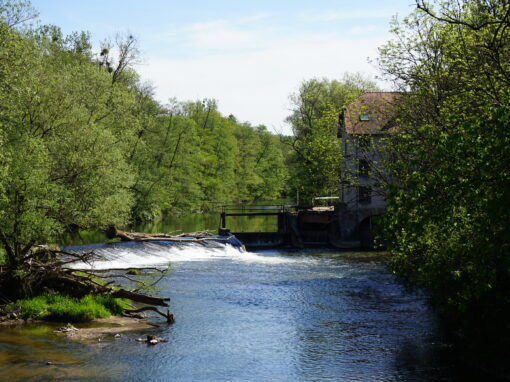 Ausblick auf die Blies mit Bliesmühle im Hintergrund.