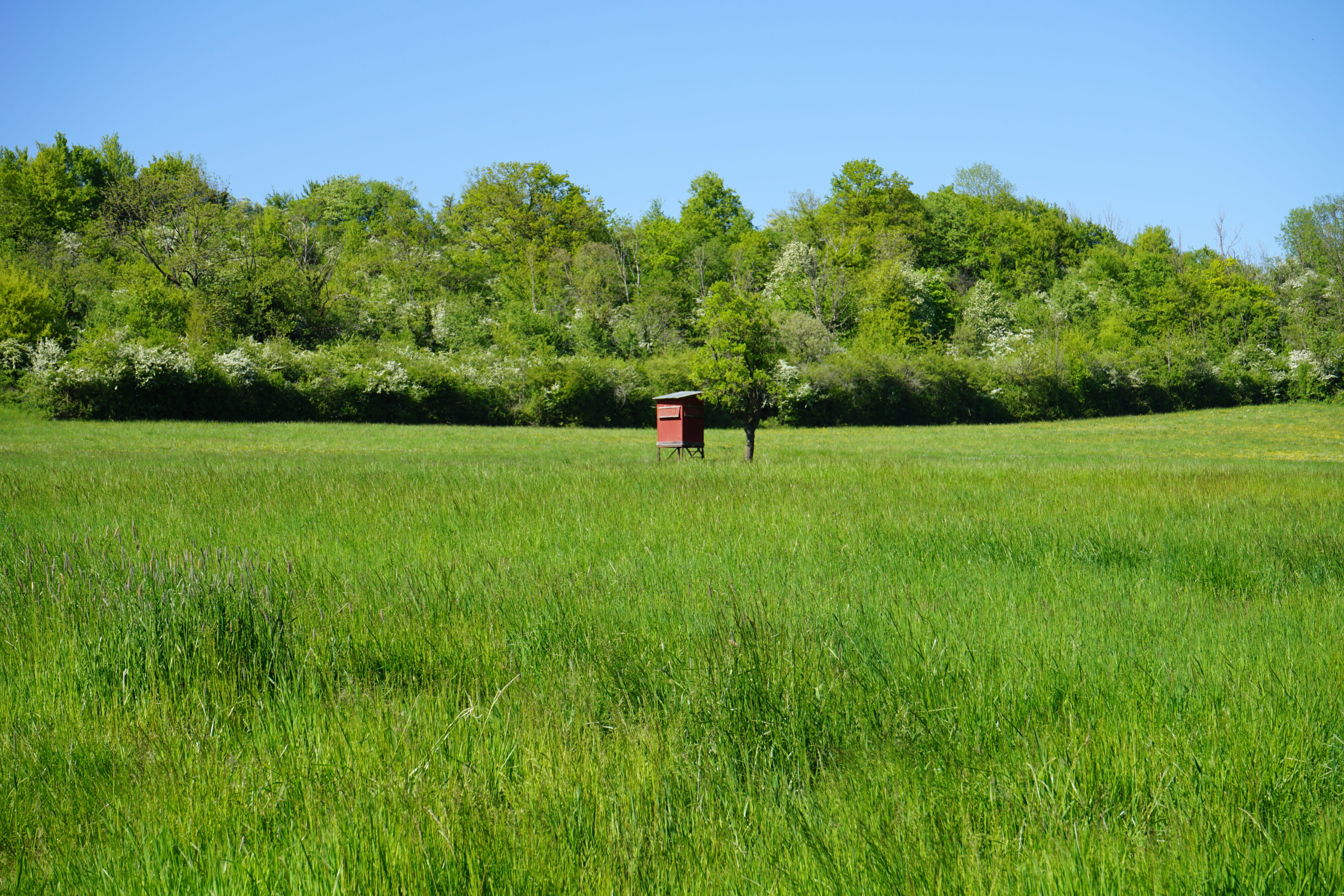 Jägerstand auf grüner Wiese