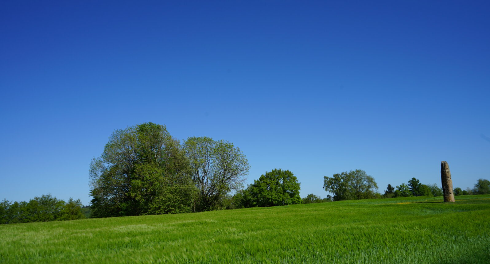 Blick auf eine grüne Wiese mit Bäumen und blauem Himmel im Hintergrund. Eine Steinsäule ist in der Ferne erkennbar.