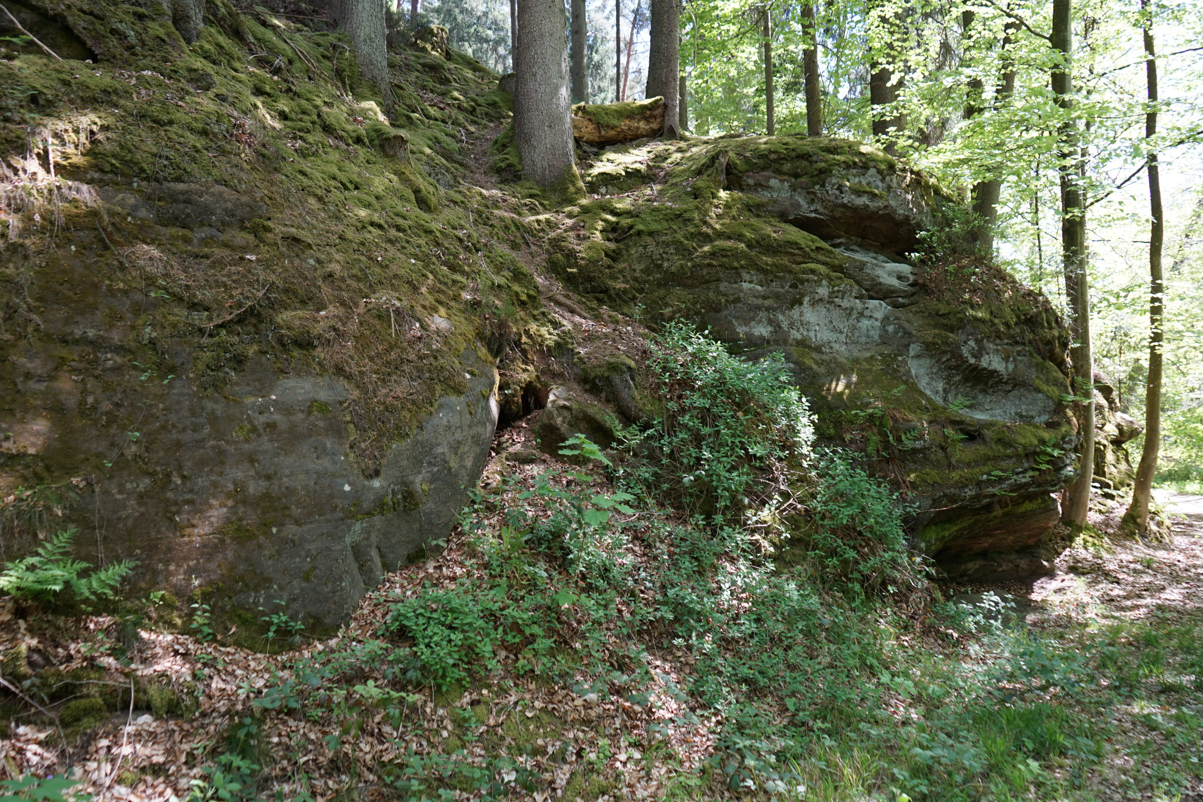 Felsformation von Moos überzogen, die ein wenig wie ein Drachenkopf aussieht.