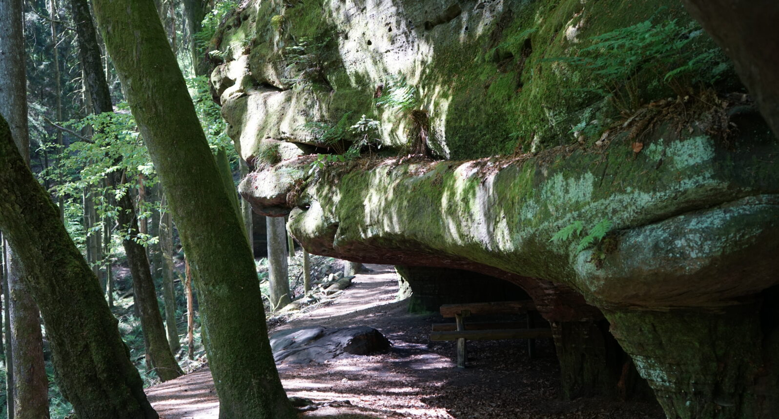 Felsen, der über einen Weg ragt. Unter dem Felsen ist ein Raststätte mit Bank und Tisch.