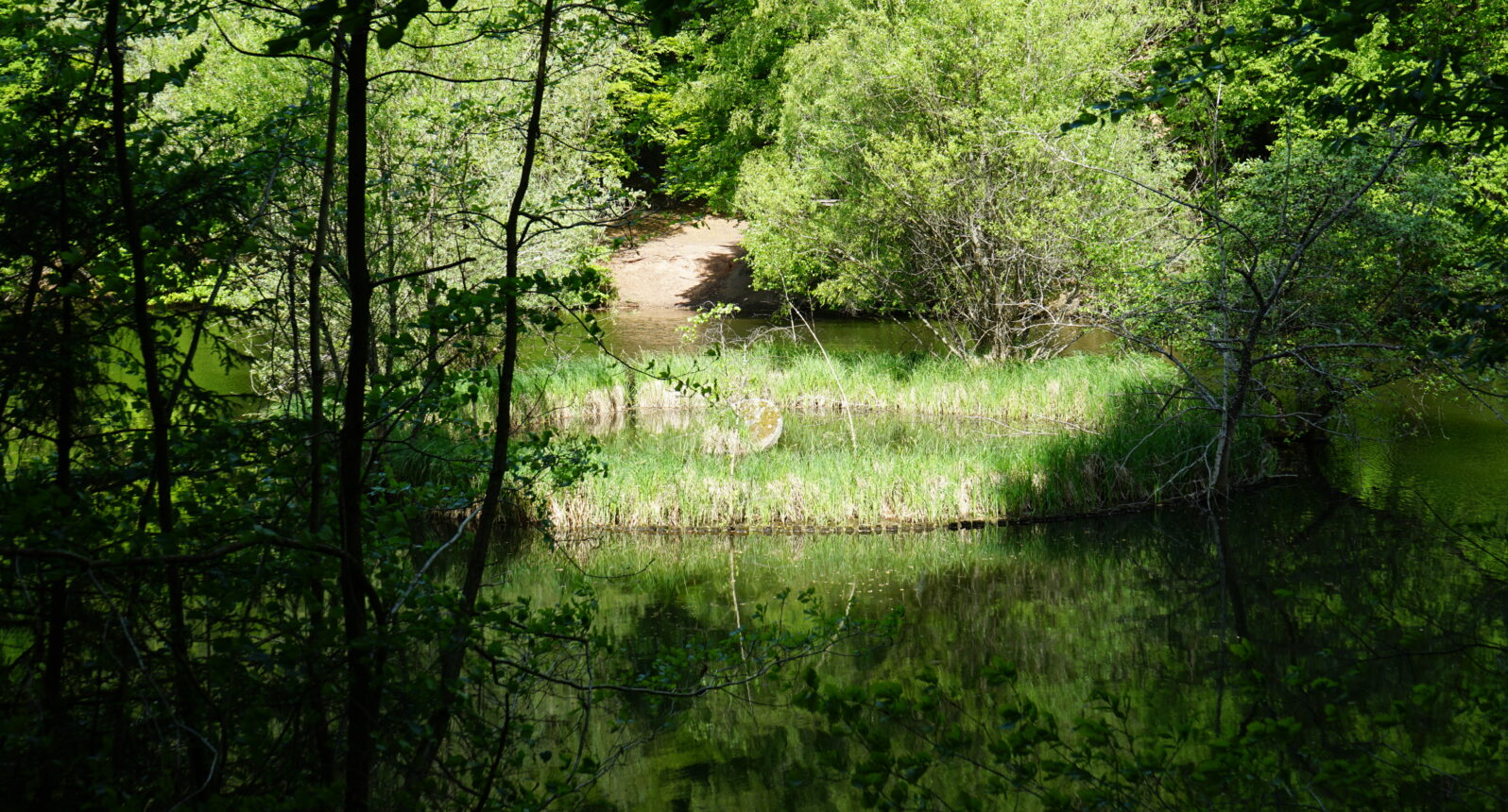 Blick auf einen Weiher umgeben von Bäumen und Büschen. Im Weiher selbst ein runder Bereich umgeben von Mauern mit einem Mühlstein darin.