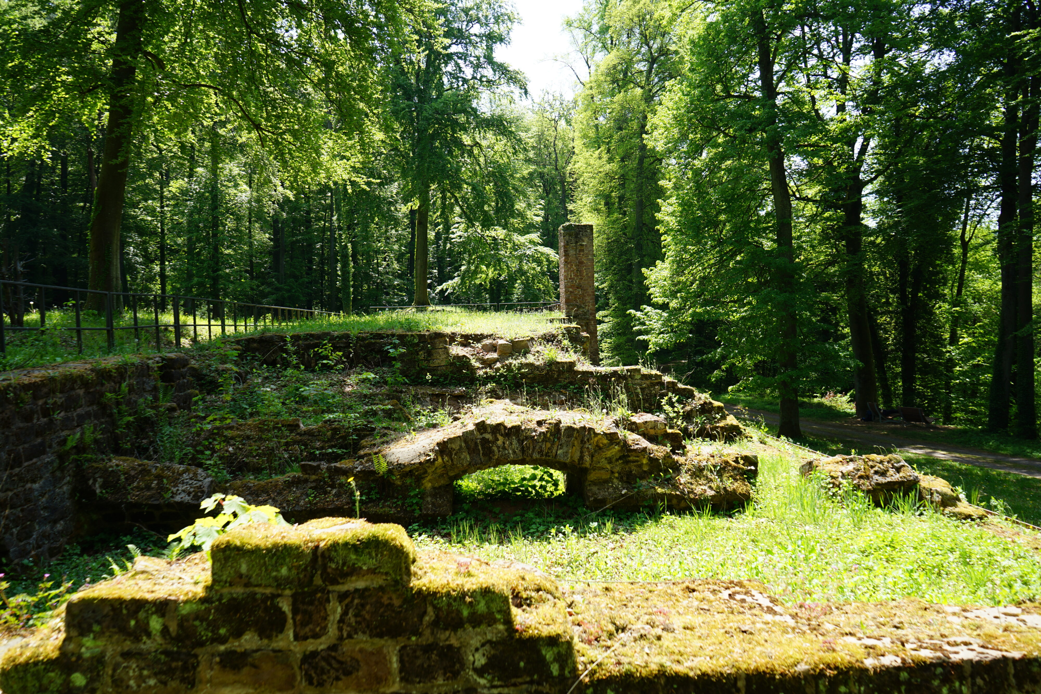 Mauerreste im Wald.