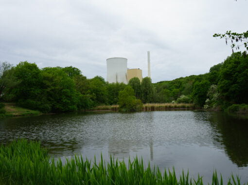 Blick auf einen Weiher und im Hintergrund ein Kraftwerk mit zwei Türmen.